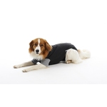 BUSTER Body Suits Classic f. Hunde Gr. XXL 74cm